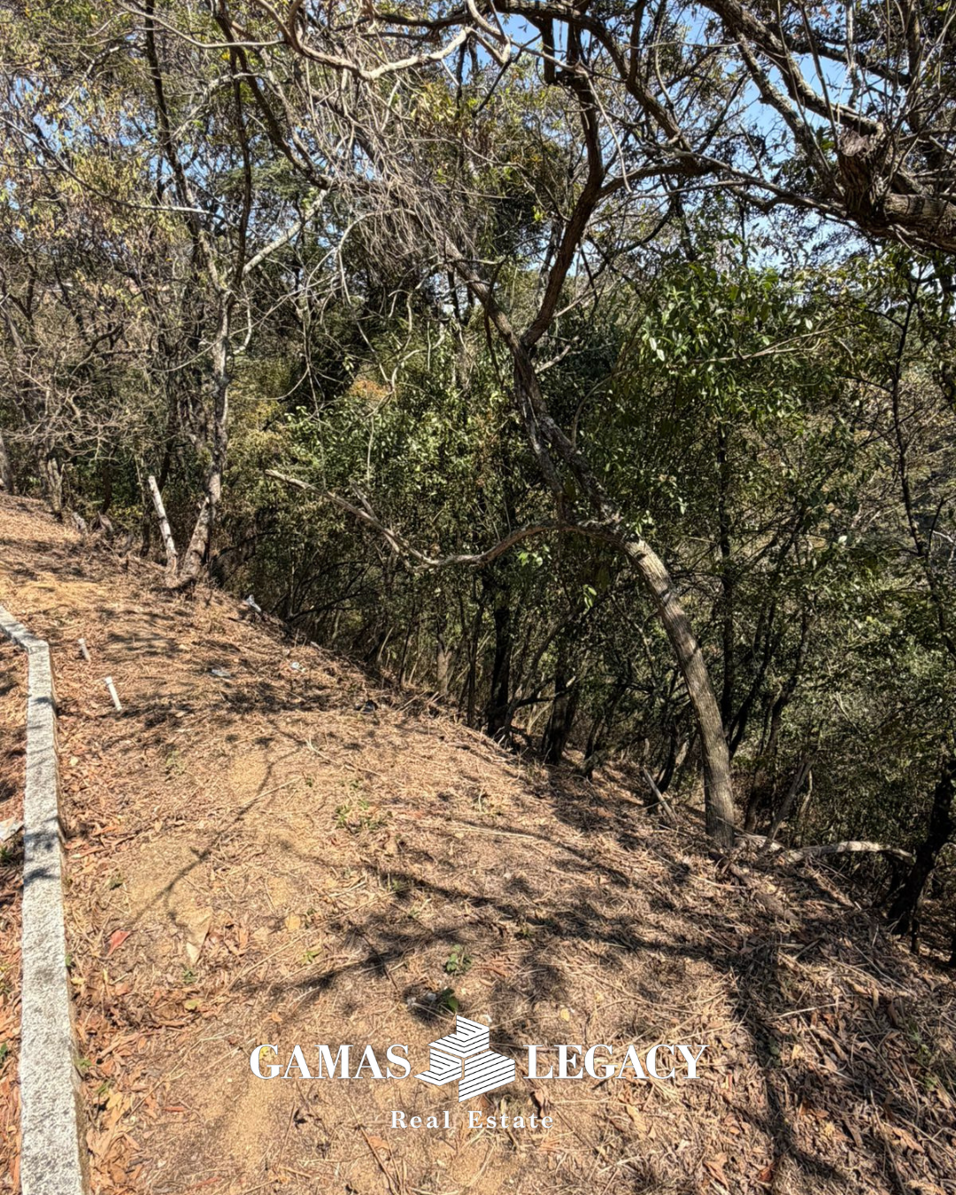 Foto 4 Terreno Lo de Coy